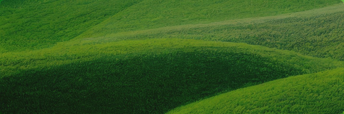 麻将胡了2(中国游)官方网站 - IOS/安卓通用版/手机APP下载